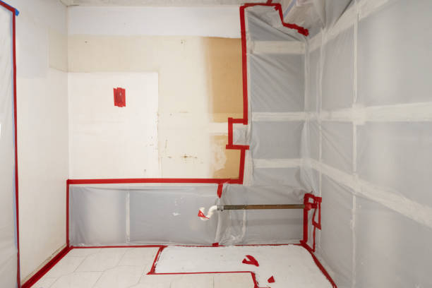 Best Post-Construction Mold Inspection  in Englewood, FL