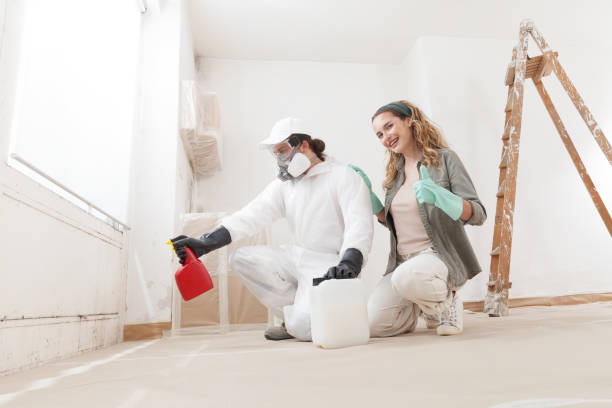 Trusted Englewood, FL Mold Removal Experts